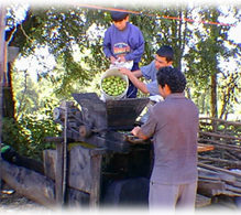 Joining Hands - Making Apple Cider - pt1