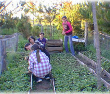 Participate - Youth planting strawberries