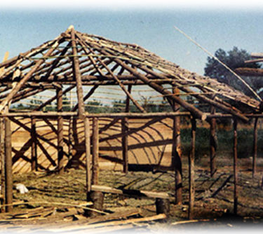 Liwen Ruka in construction